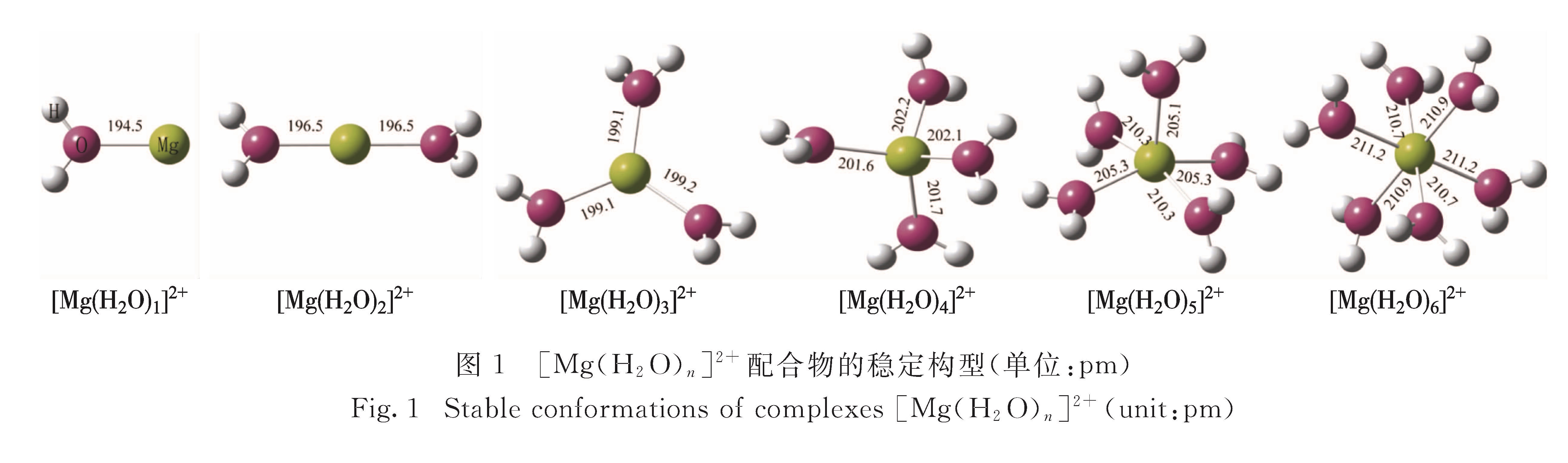 图1 [Mg(H2O)n]2+配合物的稳定构型(单位:pm)<br/>Fig.1 Stable conformations of complexes [Mg(H2O)n]2+(unit:pm)