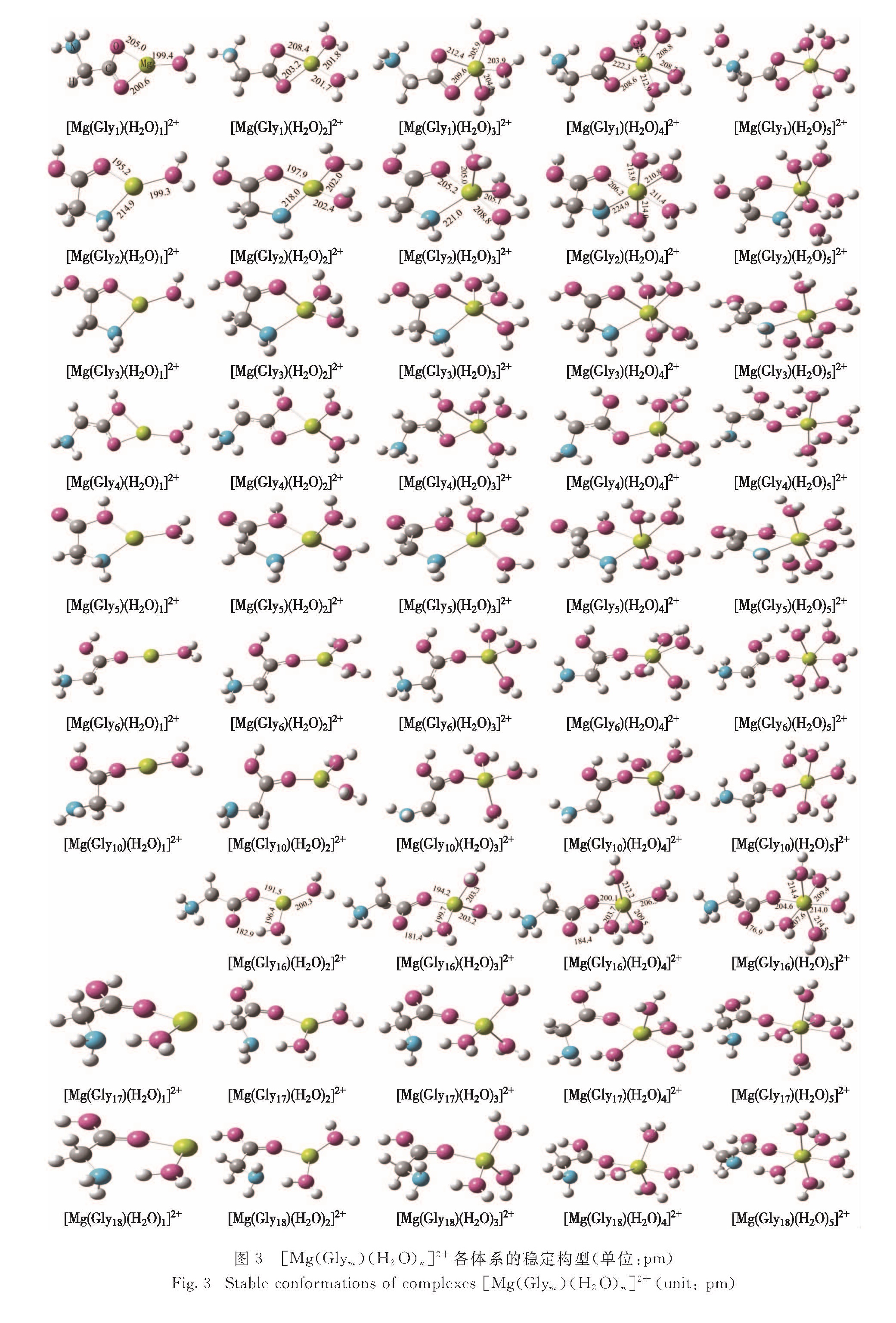 图3 [Mg(Glym)(H2O)n]2+ 各体系的稳定构型(单位:pm)<br/>Fig.3 Stable conformations of complexes [Mg(Glym)(H2O)n]2+(unit: pm)