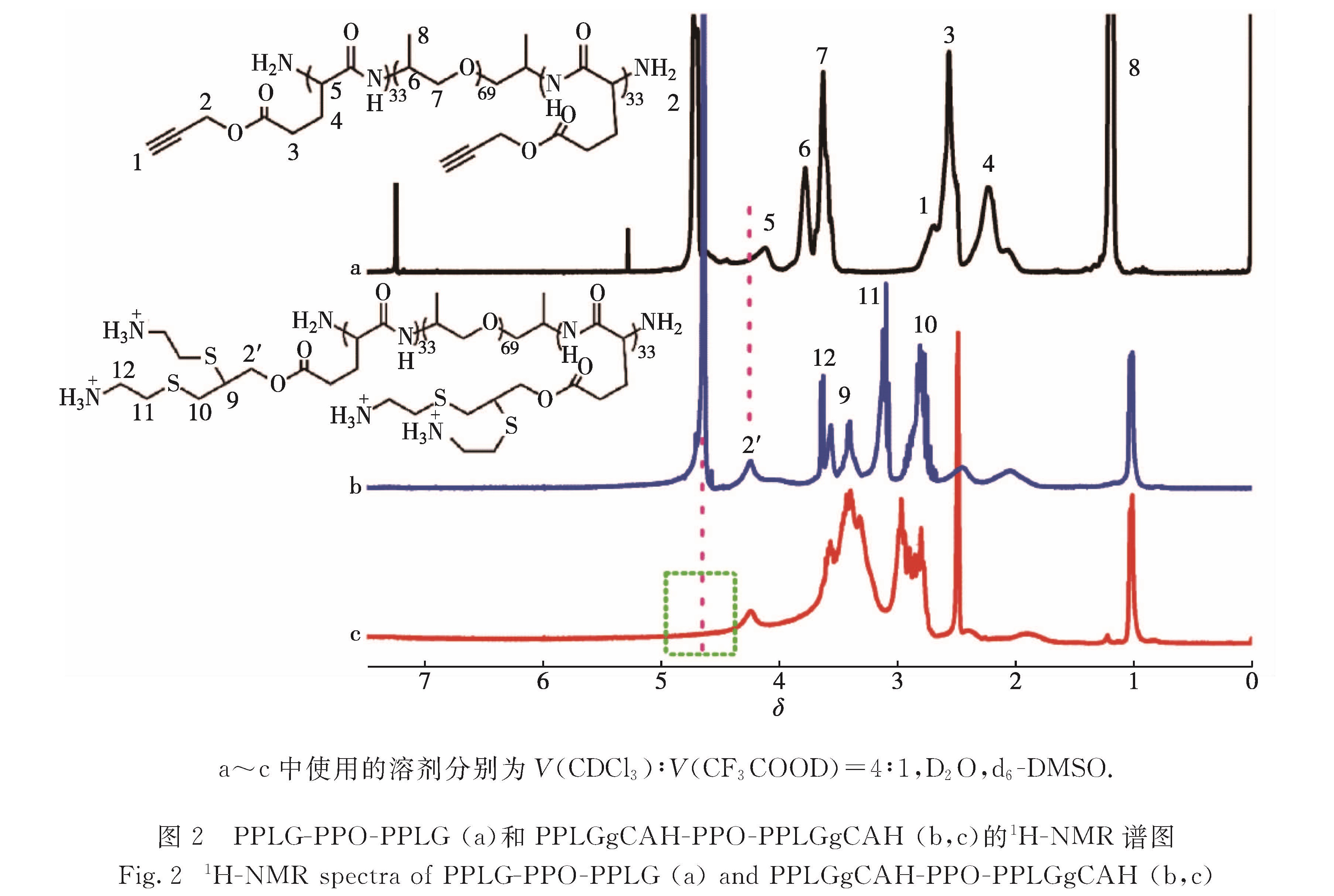 图2 PPLG-PPO-PPLG(a)和PPLGgCAH-PPO-PPLGgCAH(b,c)的1H-NMR谱图<br/>Fig.2 1H-NMR spectra of PPLG-PPO-PPLG(a)and PPLGgCAH-PPO-PPLGgCAH(b,c)