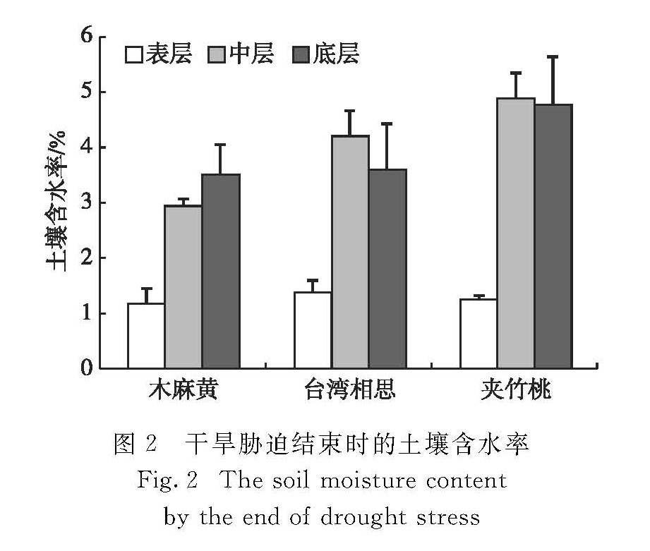 图2 干旱胁迫结束时的土壤含水率<br/>Fig.2 The soil moisture content by the end of drought stress