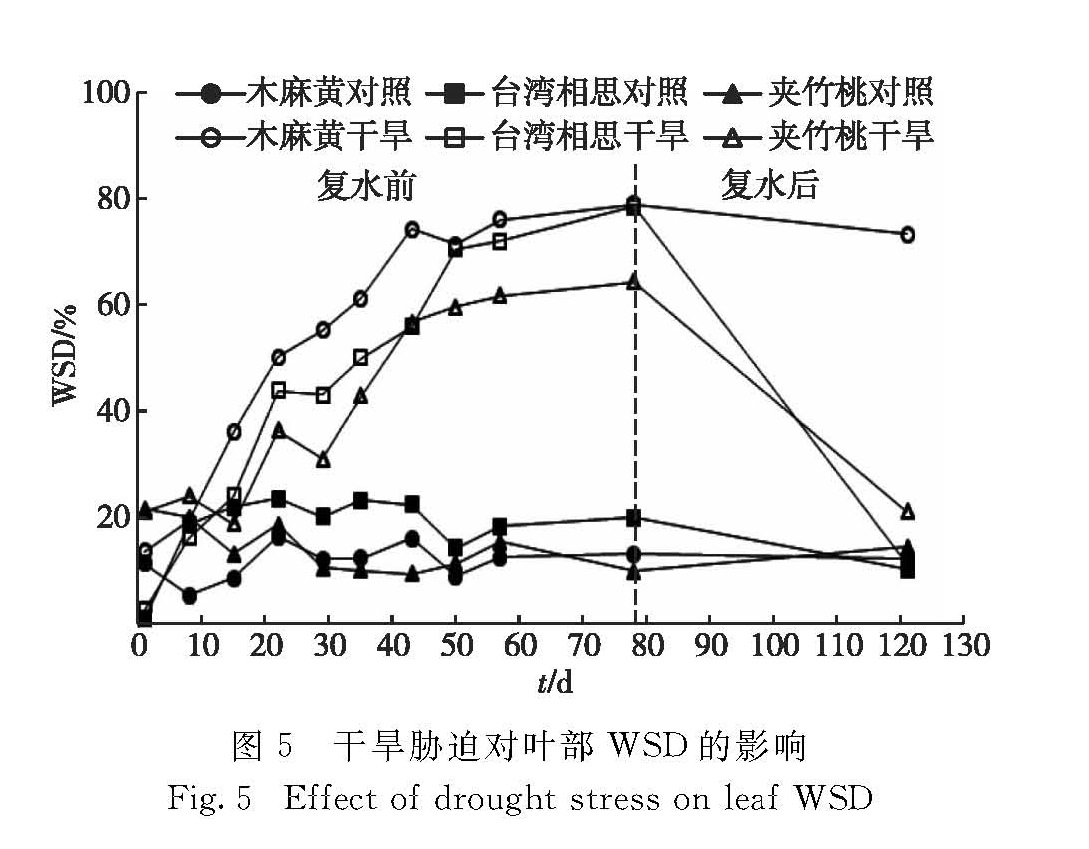图5 干旱胁迫对叶部WSD的影响<br/>Fig.5 Effect of drought stress on leaf WSD