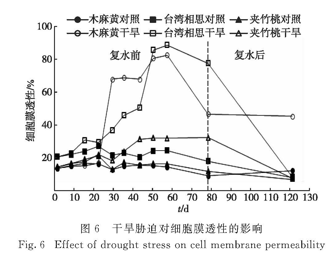 图6 干旱胁迫对细胞膜透性的影响<br/>Fig.6 Effect of drought stress on cell membrane permeability