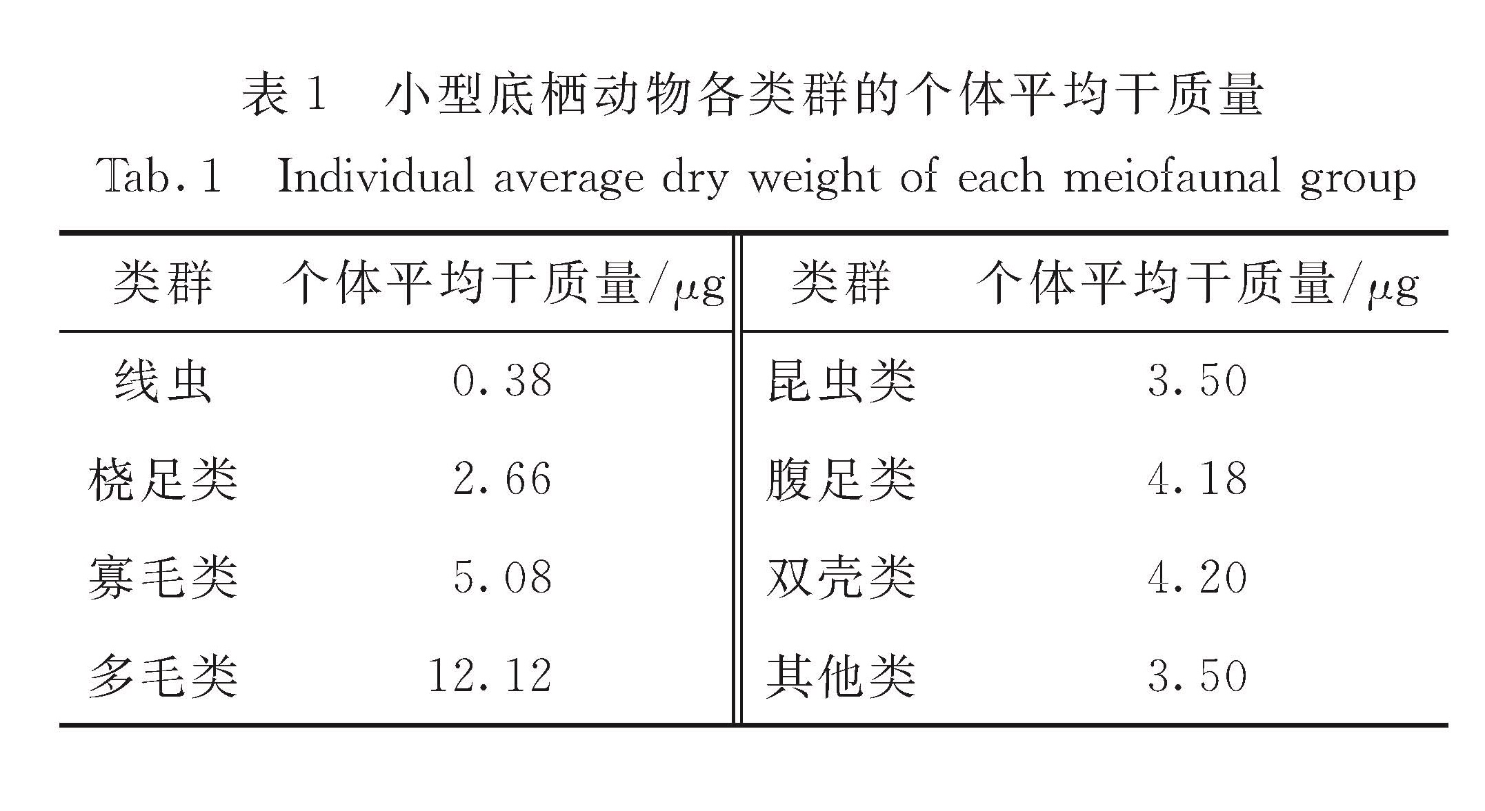 表1 小型底栖动物各类群的个体平均干质量<br/>Tab.1 Individual average dry weight of each meiofaunal group