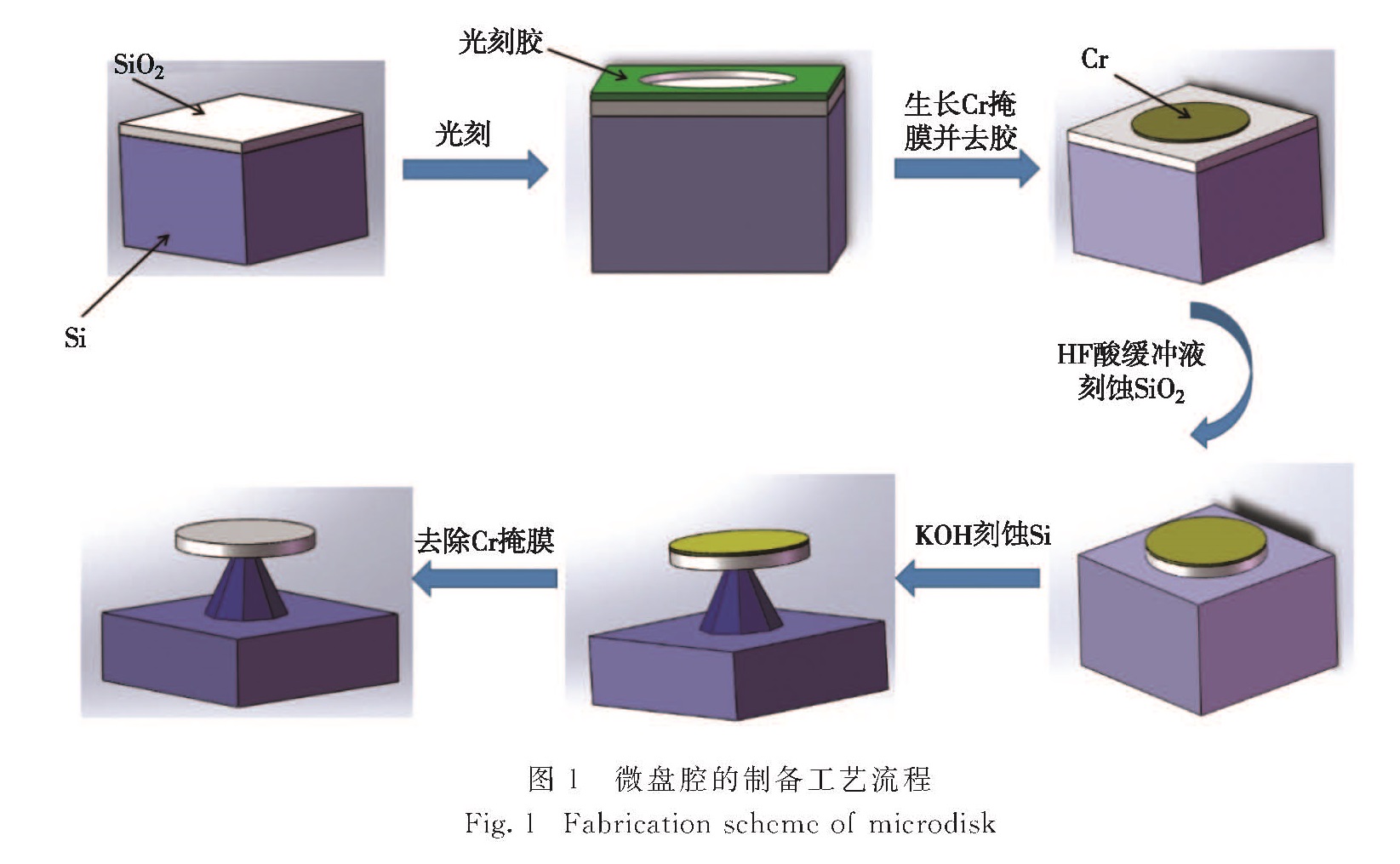 厦门大学学报（自然科学版）》