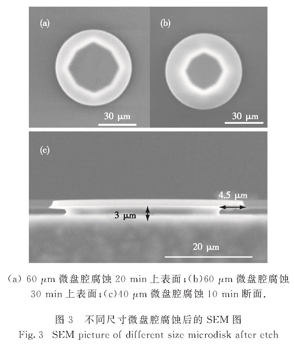厦门大学学报（自然科学版）》