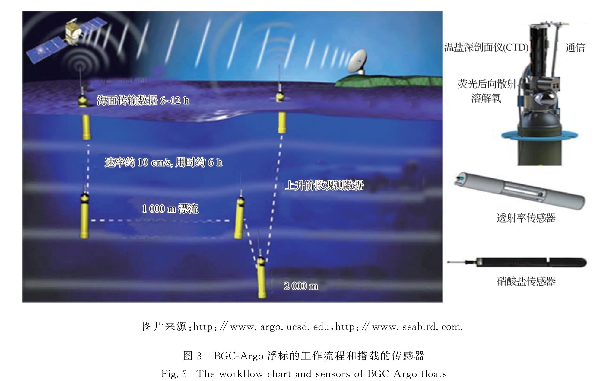 《厦门大学学报（自然科学版）》