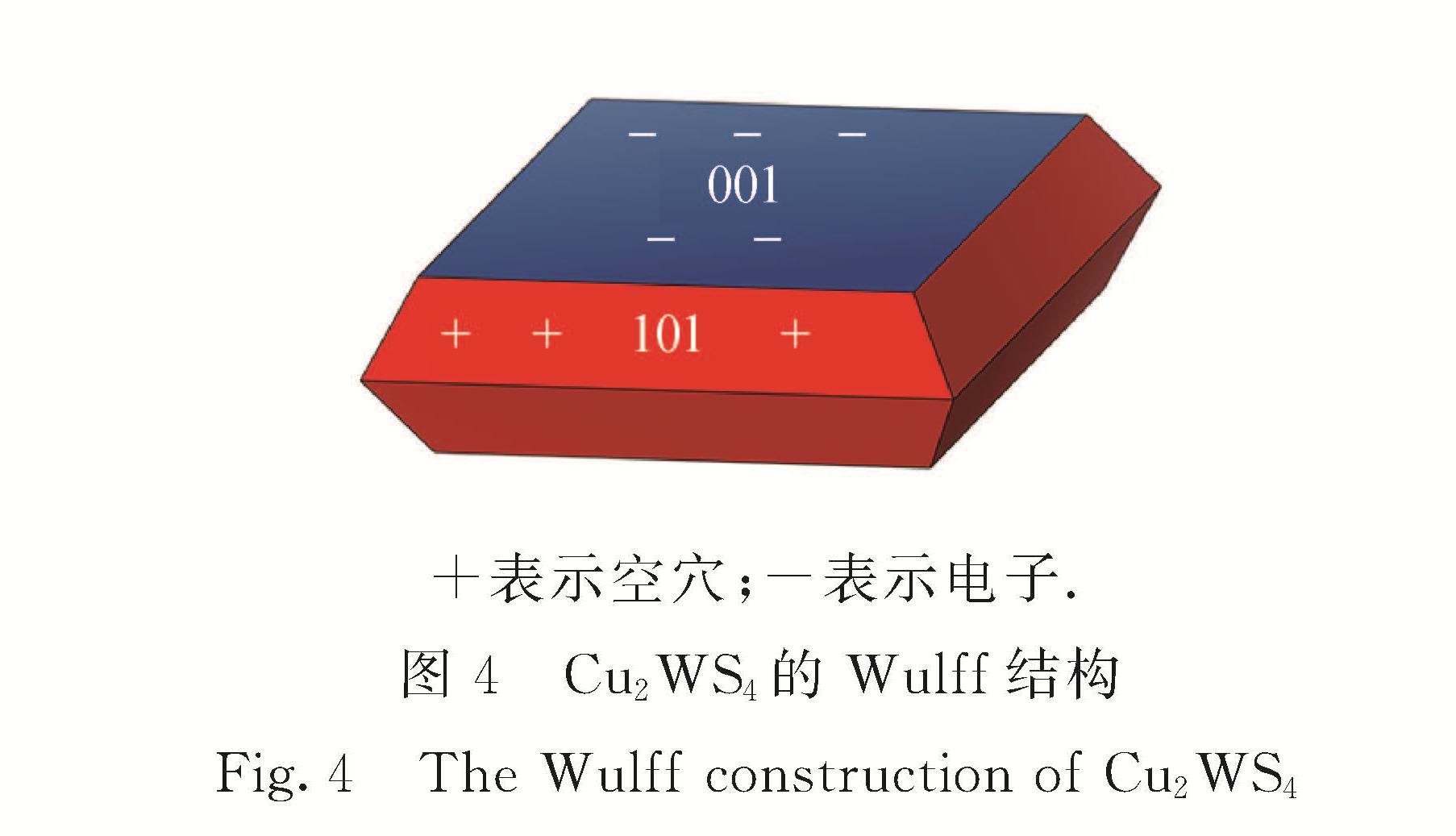图4 Cu2WS4的Wulff结构<br/>Fig.4 The Wulff construction of Cu2WS4