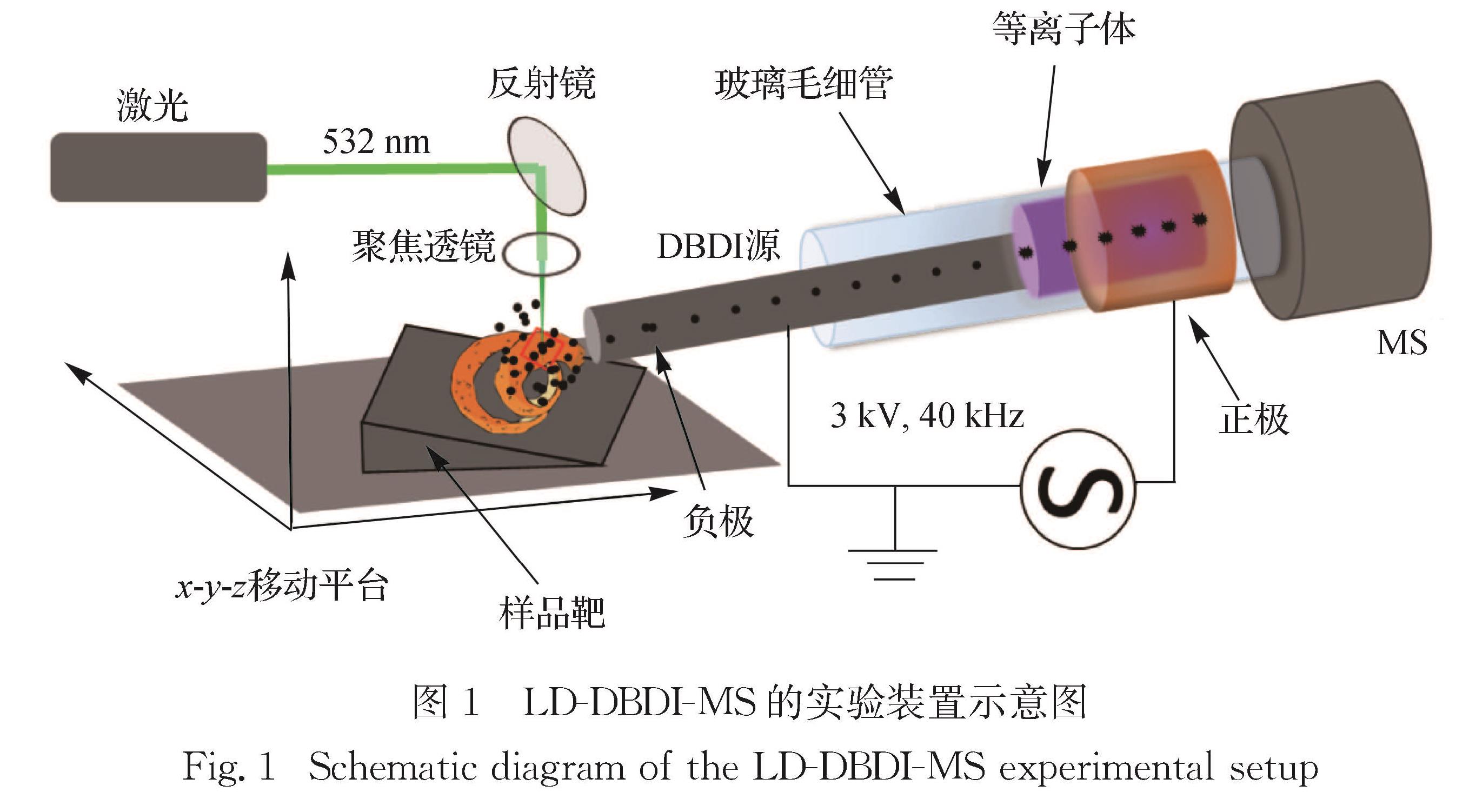 图1 LD-DBDI-MS的实验装置示意图 <br/>Fig.1 Schematic diagram of the LD-DBDI-MS experimental setup